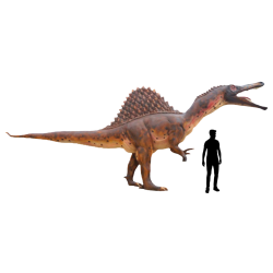 Spinozaur C870-h310x170x850cm